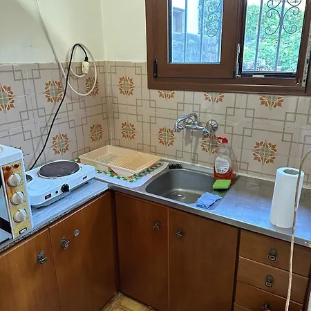 Grandma Paraskevoula